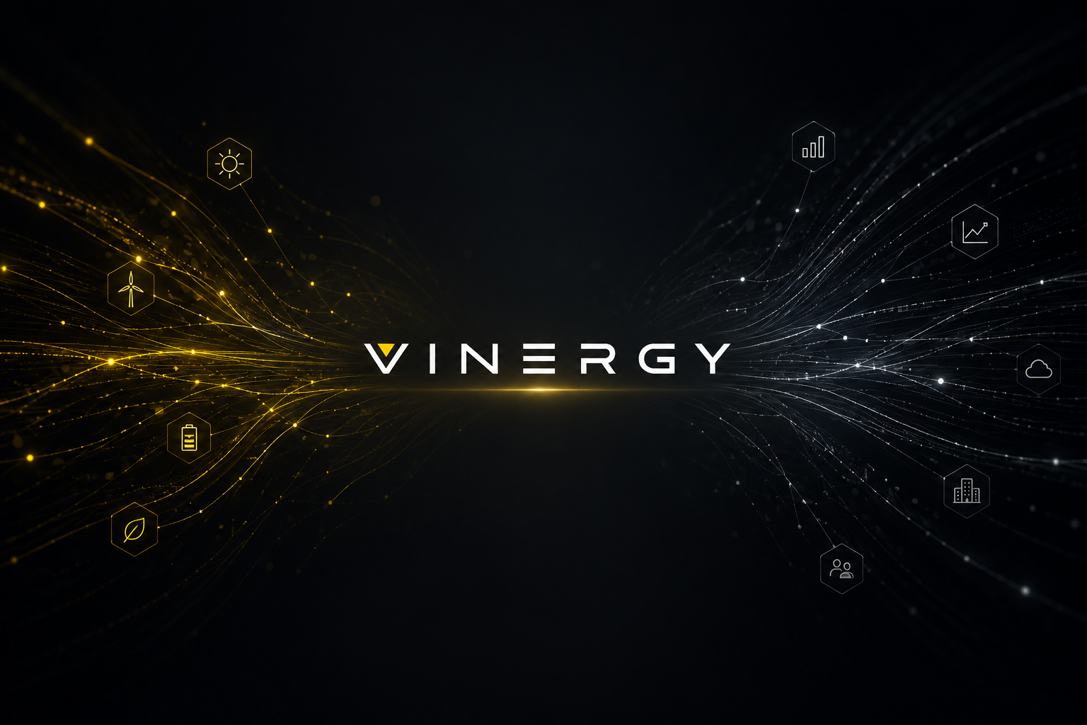 Vinergy Platform